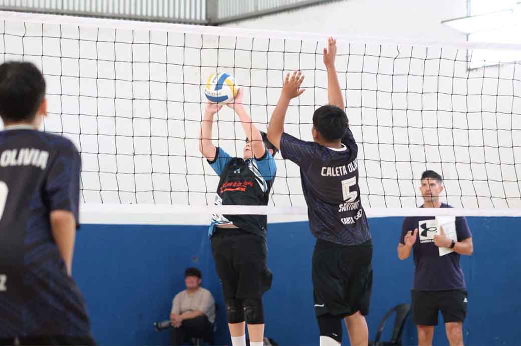 minivoley03